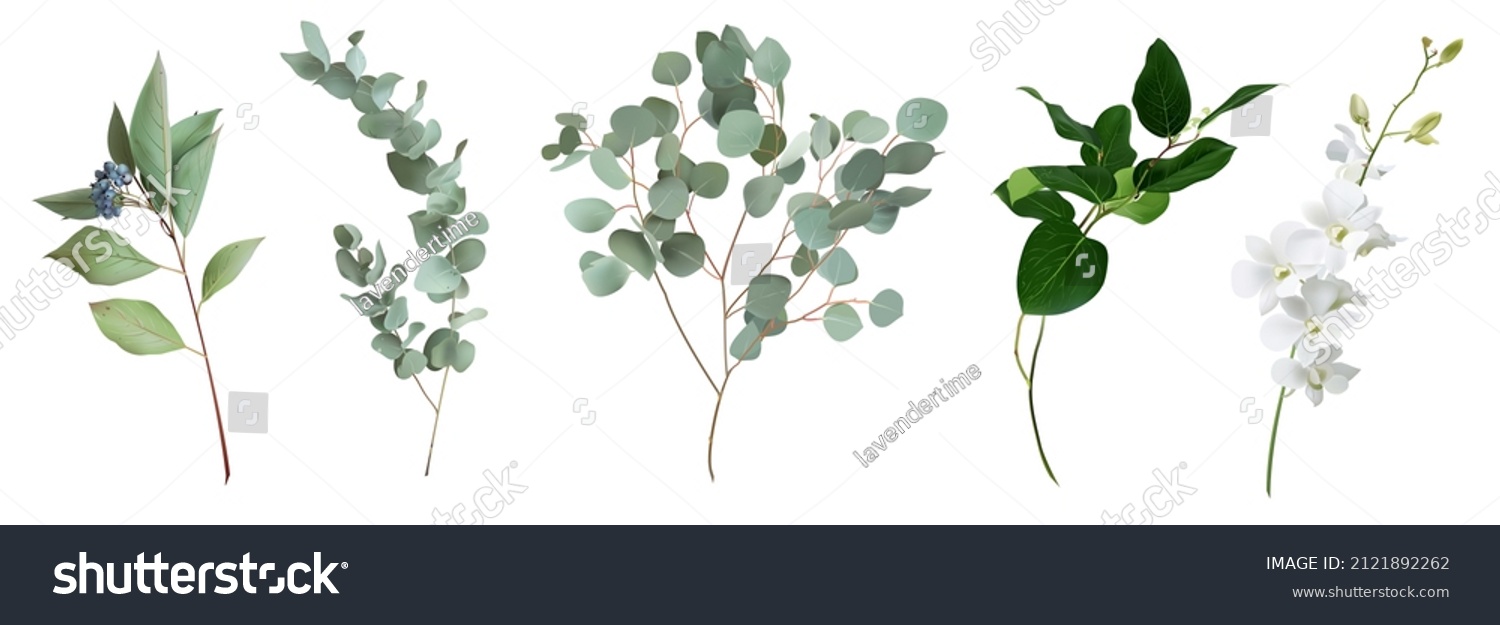 Mix of herbs and plants vector big collection. Cute rustic wedding greenery. Eucalyptus, cornus alba, white orchid, salal leaves and stems. Watercolor style set. Elements are isolated and editable #2121892262