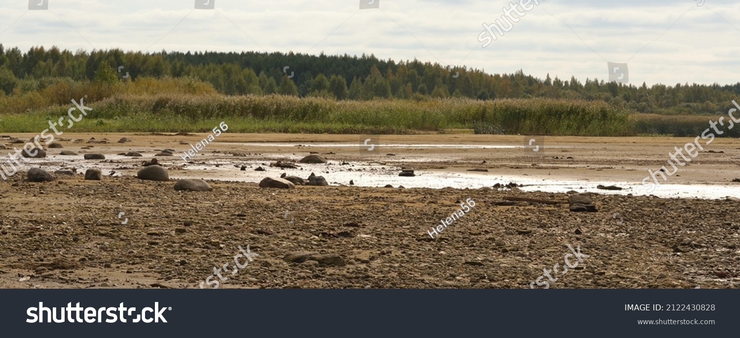 The drying bottom of the river against the background of a natural landscape - shore, trees, sky - nature banner #2122430828