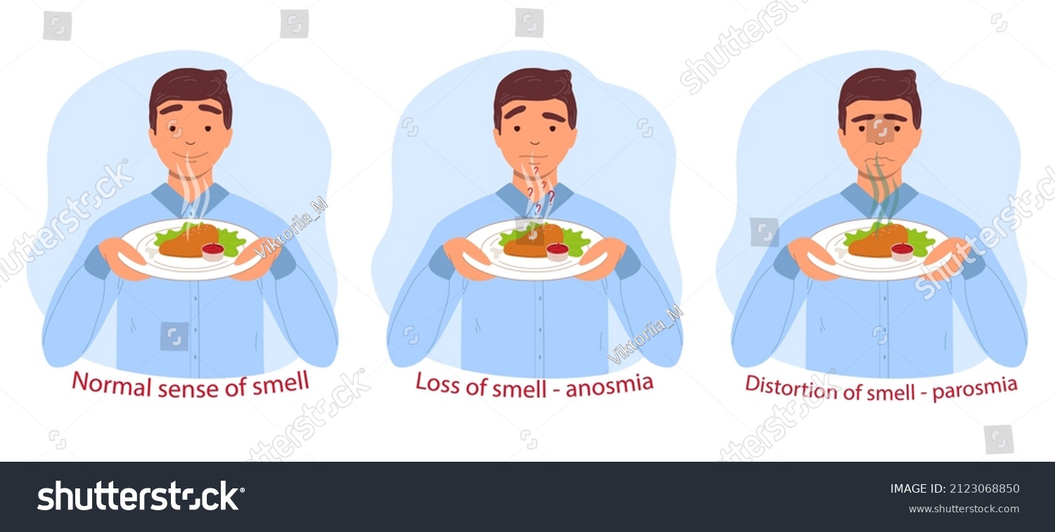 Normal sense of smell, anosmia and parosmia are - Royalty Free Stock ...