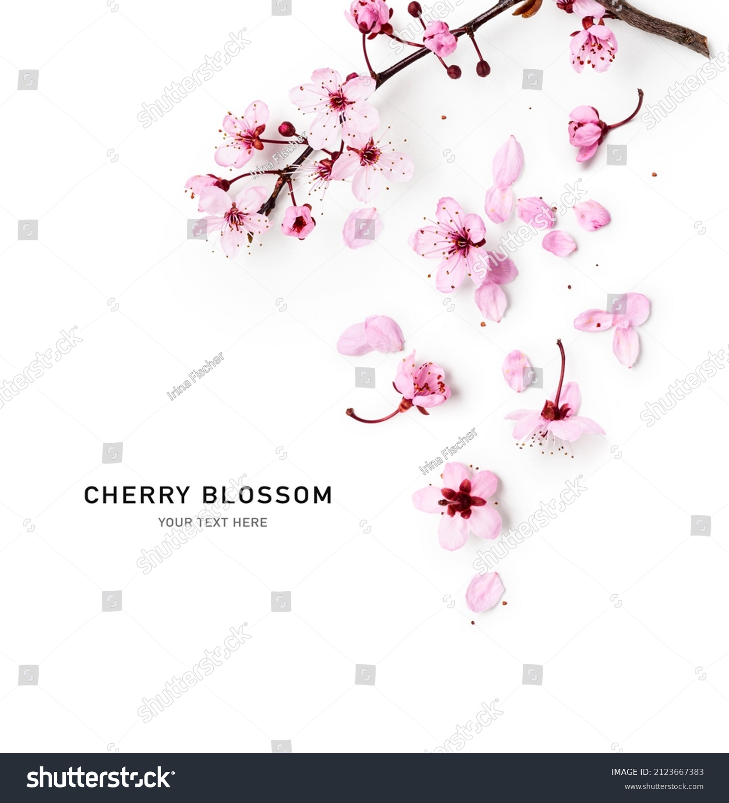 Spring cherry tree in bloom creative layout. Sakura pink flowers in springtime background. Beauty in nature. Design element. Top view, flat lay
 #2123667383