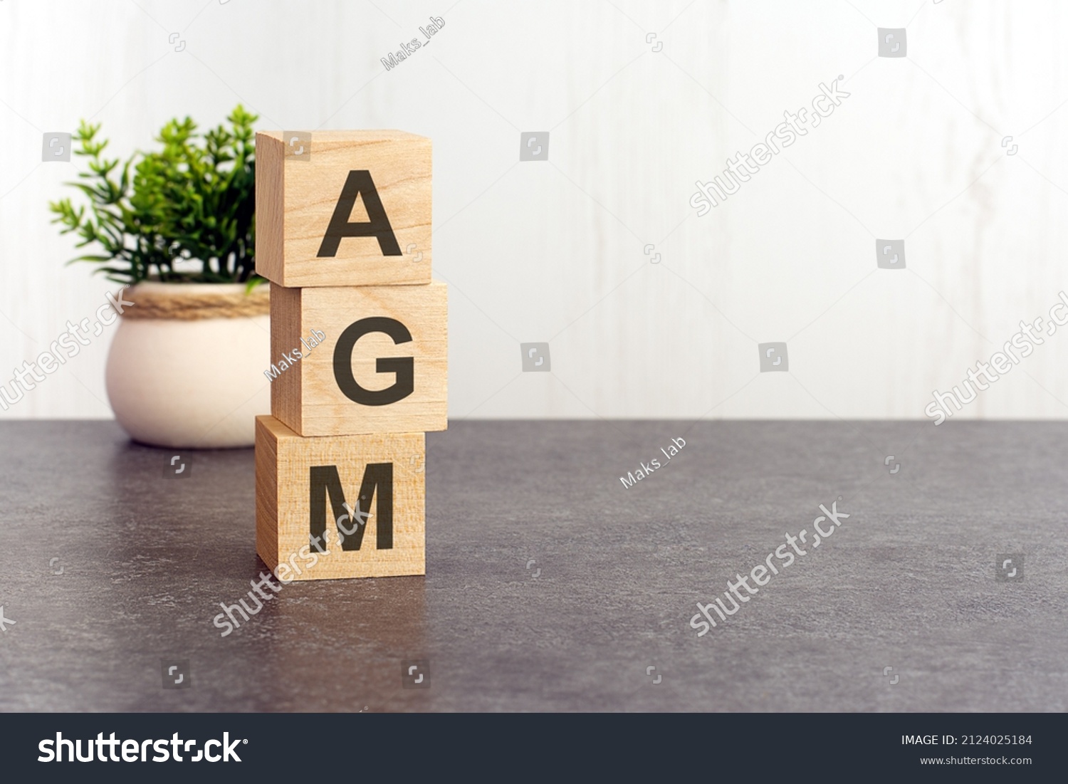 letters of the alphabet of AGM on wooden cubes, green plant on a white background. AGM - short for Annual General Meeting, #2124025184