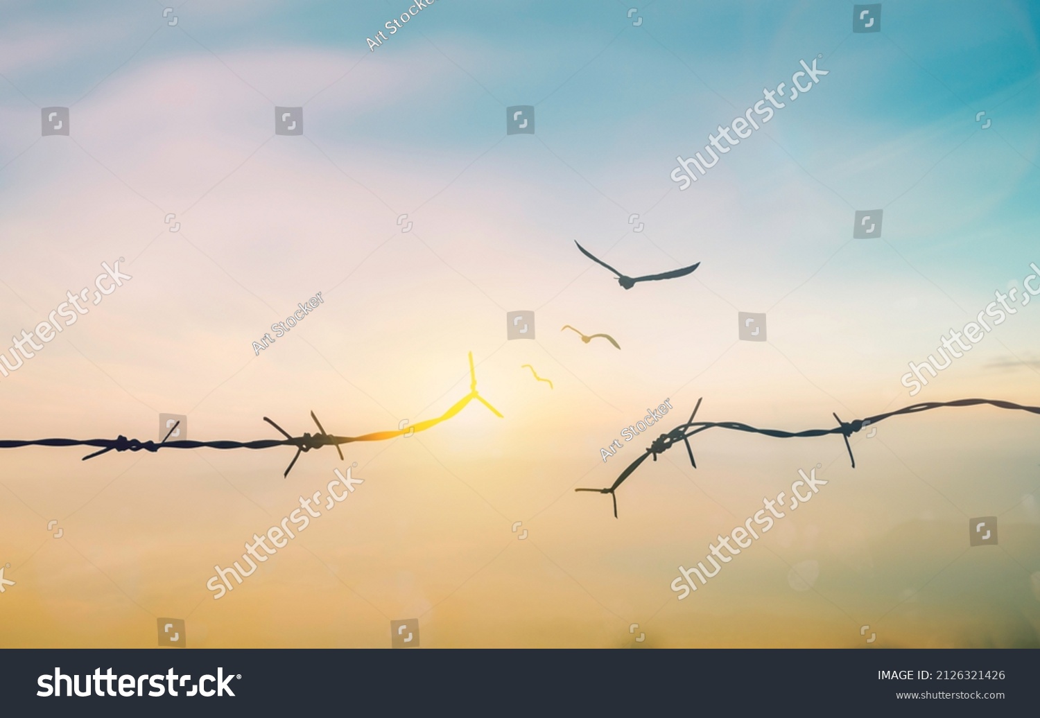 Abstract Barrier wire fence refugee Twilight sky. Deliverance Broke spike change bird boundary human rights slave prison jail break hope freedom justice social liberty day world war emancipation win. #2126321426