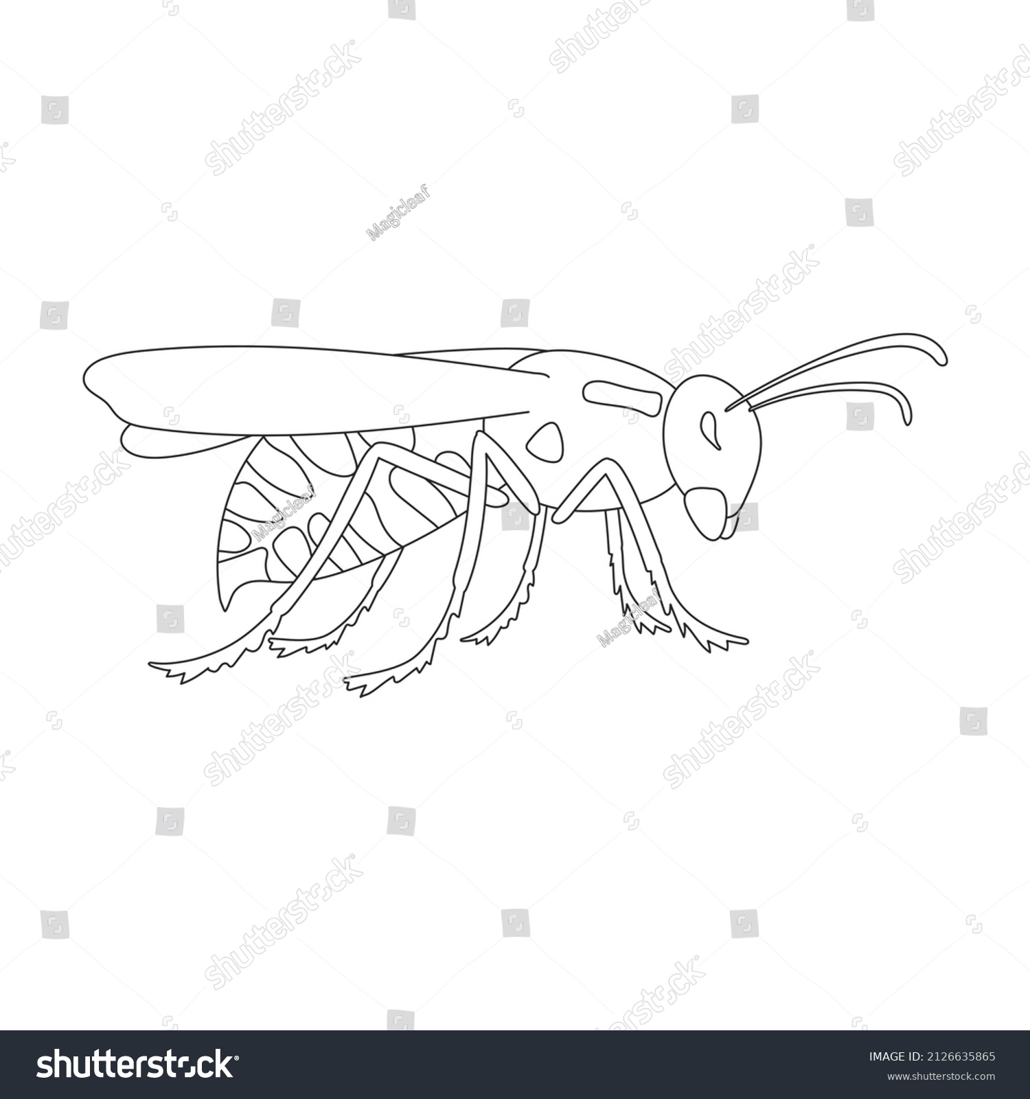 Wasp vector outline icon. Vector illustration - Royalty Free Stock ...