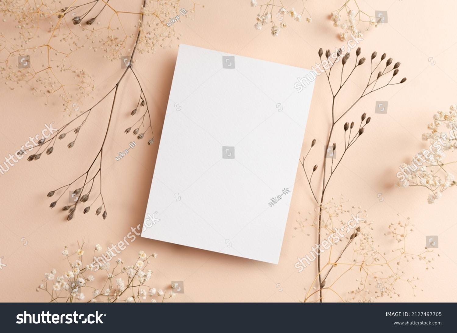 Greeting or invitation card mockup with dry natural plants twigs on beige background #2127497705
