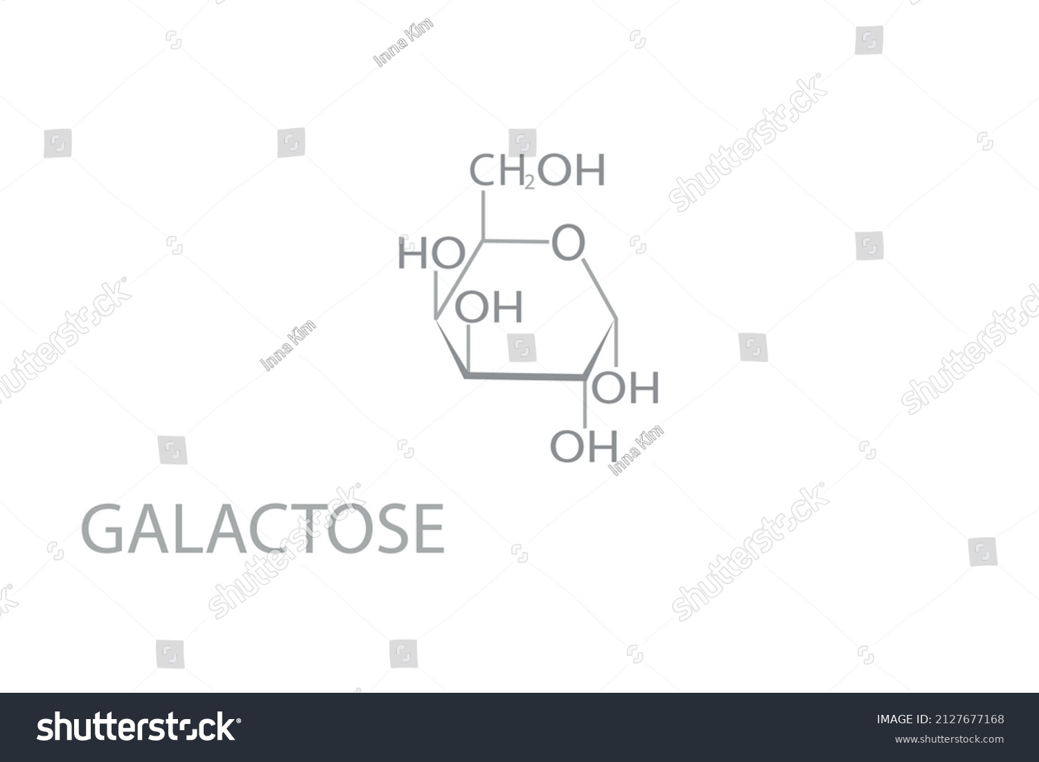 Galactose Molecular Skeletal Chemical Formula Royalty Free Stock Vector 2127677168 7917