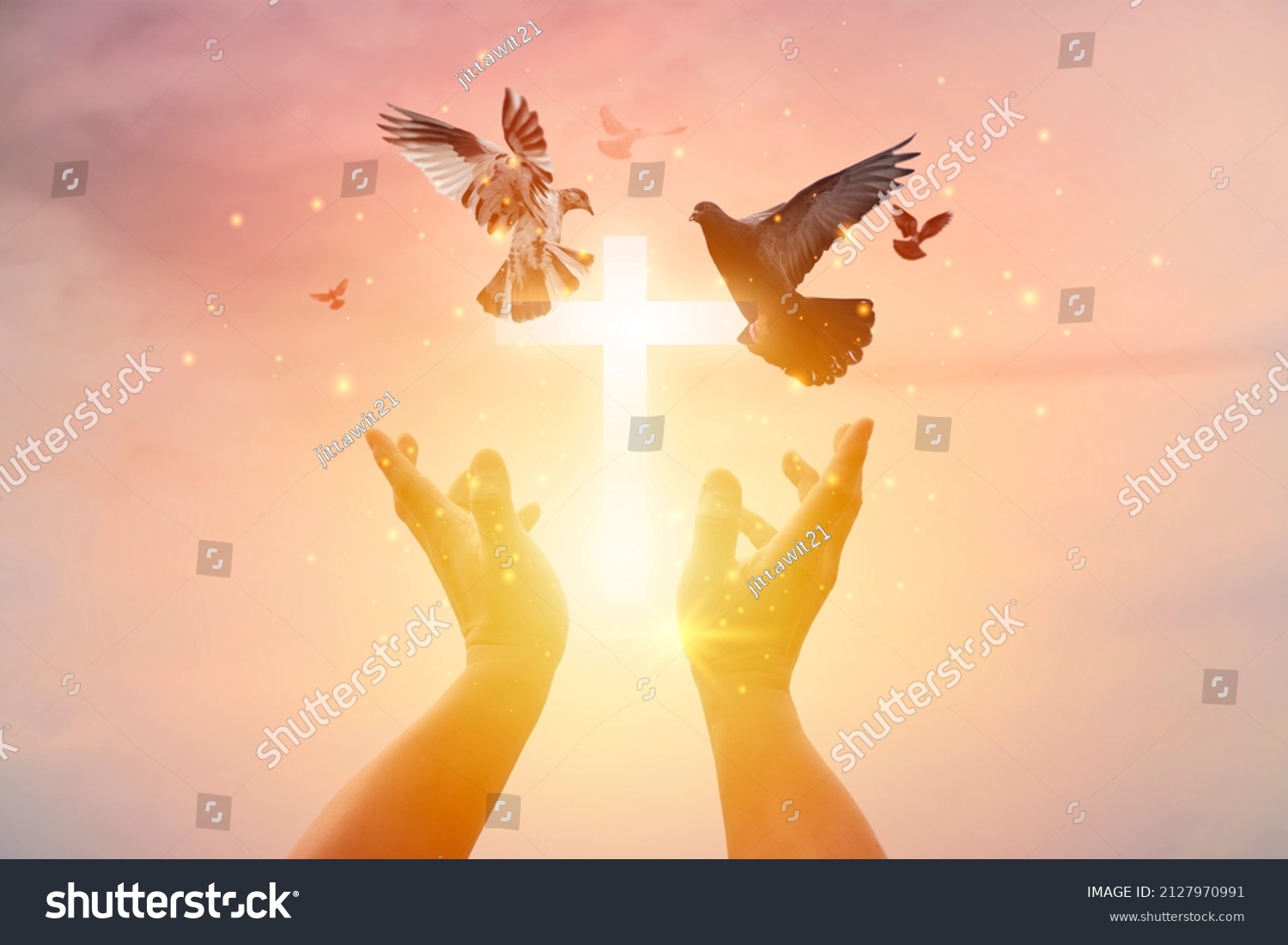 Woman praying with cross and flying bird in nature sunset background, hope concept #2127970991