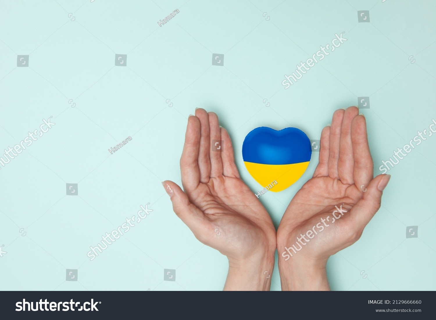 Heart with print the national flag of ukraine in female hands. Flat lay. #2129666660