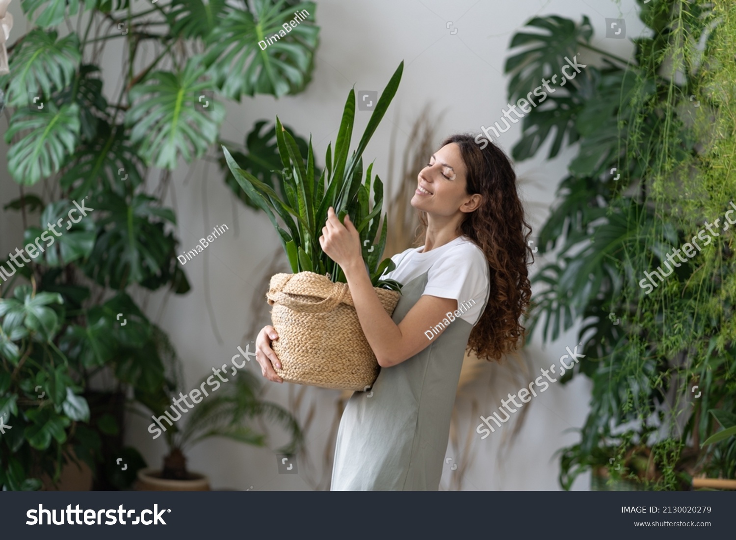 Smiling young woman hold pot with Sansevieria plant happy work in indoor garden or cozy home office with different houseplants. Happy millennial female gardener or florist take care of domestic flower #2130020279
