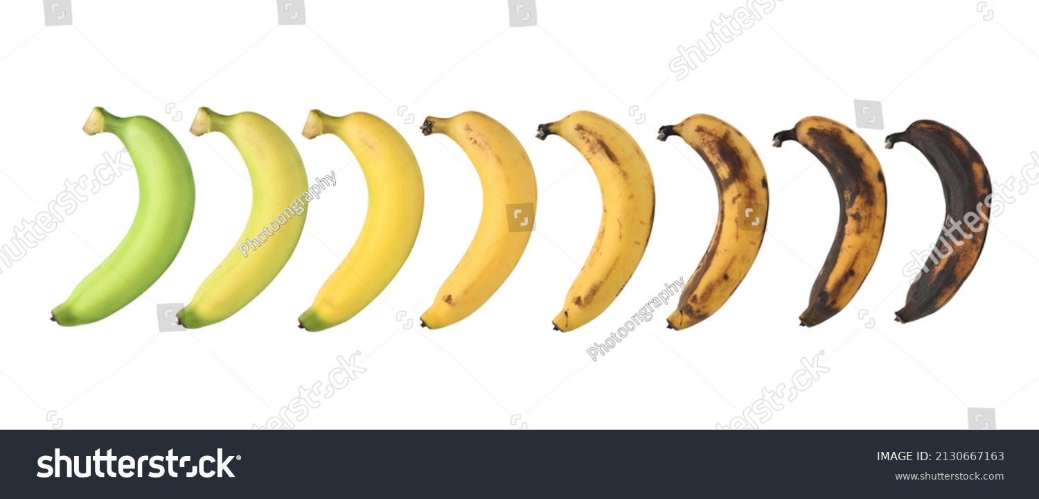 Ripening stages of banana isolated on white background. #2130667163