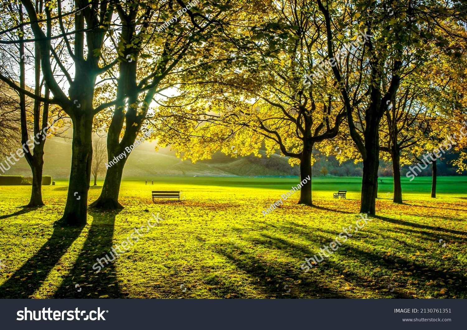 Sunlight in the autumn park. Autumn park in sunlights. Sunbeams in autumn park. Autumn park landscape #2130761351