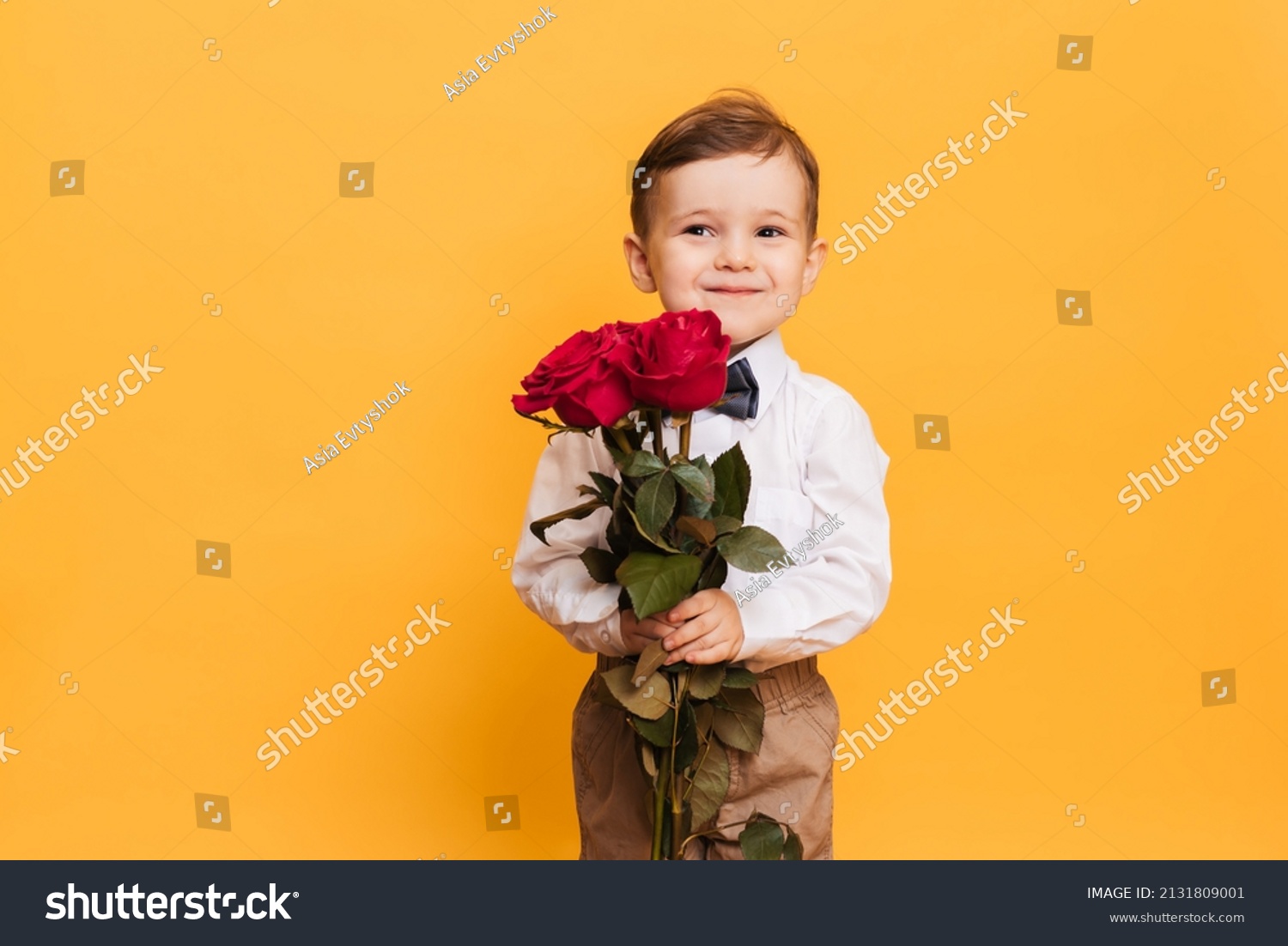 Boy in a white shirt, pants and a bow tie on a yellow background holds in his hands bouquet a red roses. A gift for my mother, grandmother. #2131809001