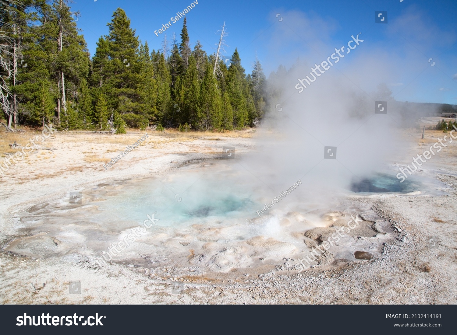 Old Faithful geyser basin in the Yellowstone National park, USA #2132414191