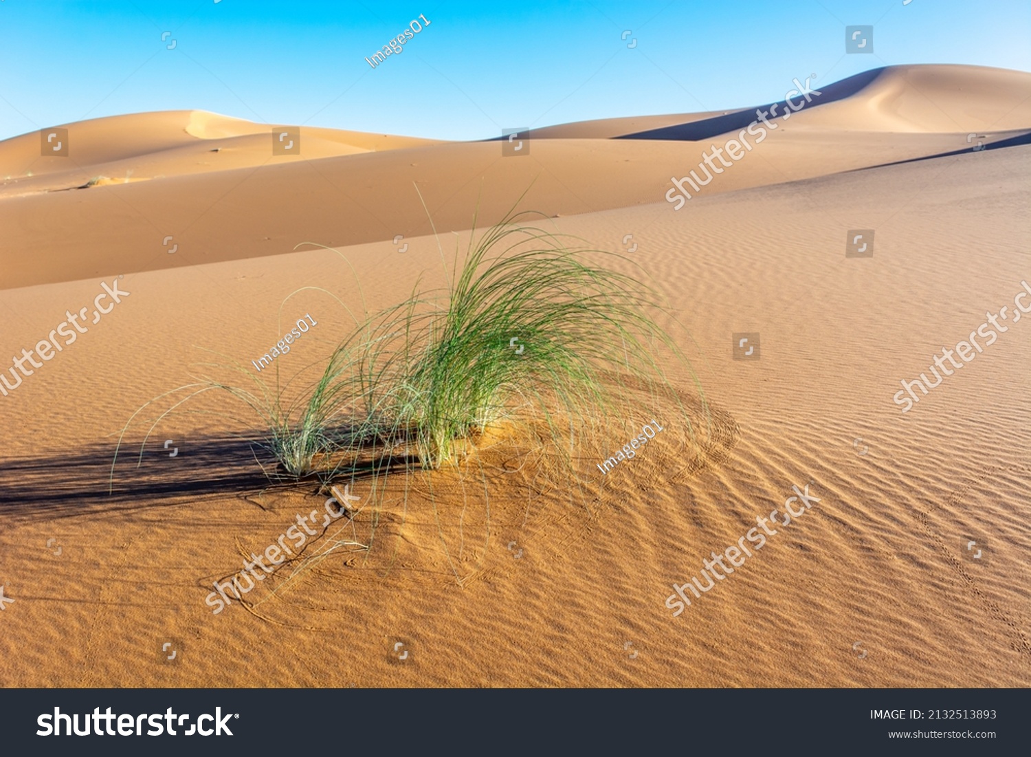 Erg Chebbi, sand desert of Merzouga, southeast of Morocco. Popular destination for travellers. Morocco. #2132513893