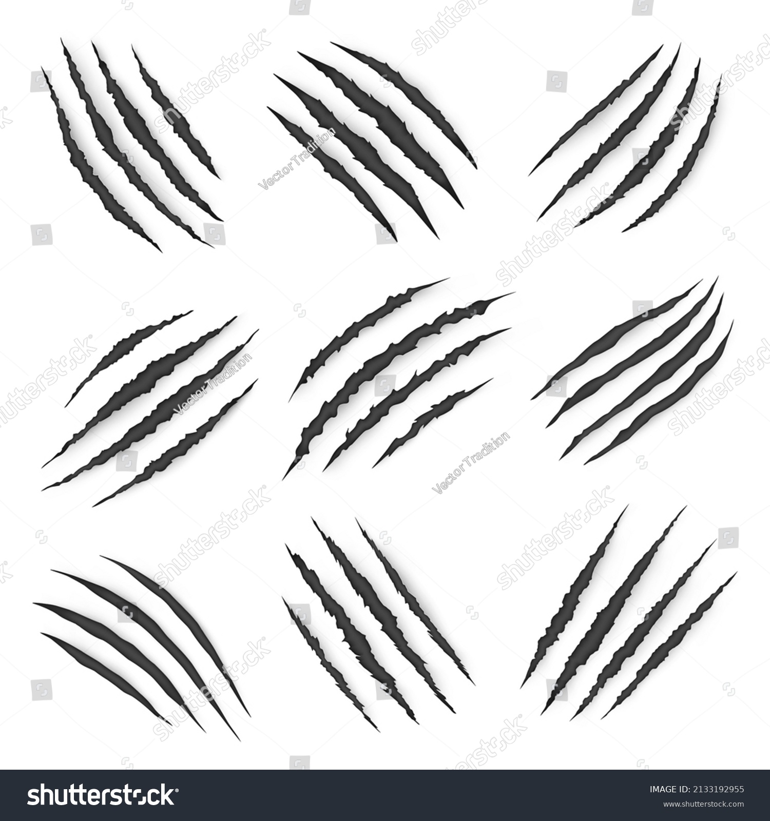 Predators, wild animal claw marks, vector - Royalty Free Stock Vector ...