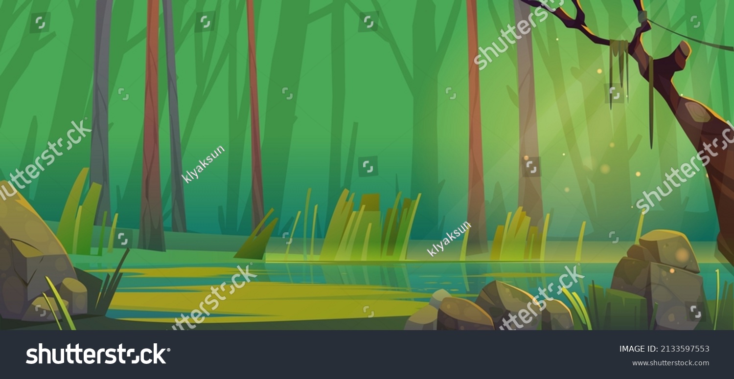 Cartoon forest pond or swamp background. Summer nature landscape with tree trunks, lianas, green grass and rocks round quagmire water. Beautiful scenery view, deep wood with plants Vector illustration #2133597553