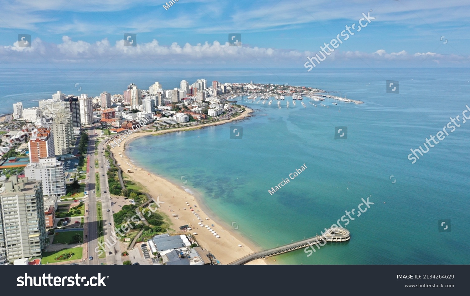Wonderful panoramic view of Punta del Este main avenue and the seashore. Punta del Este, Uruguay #2134264629