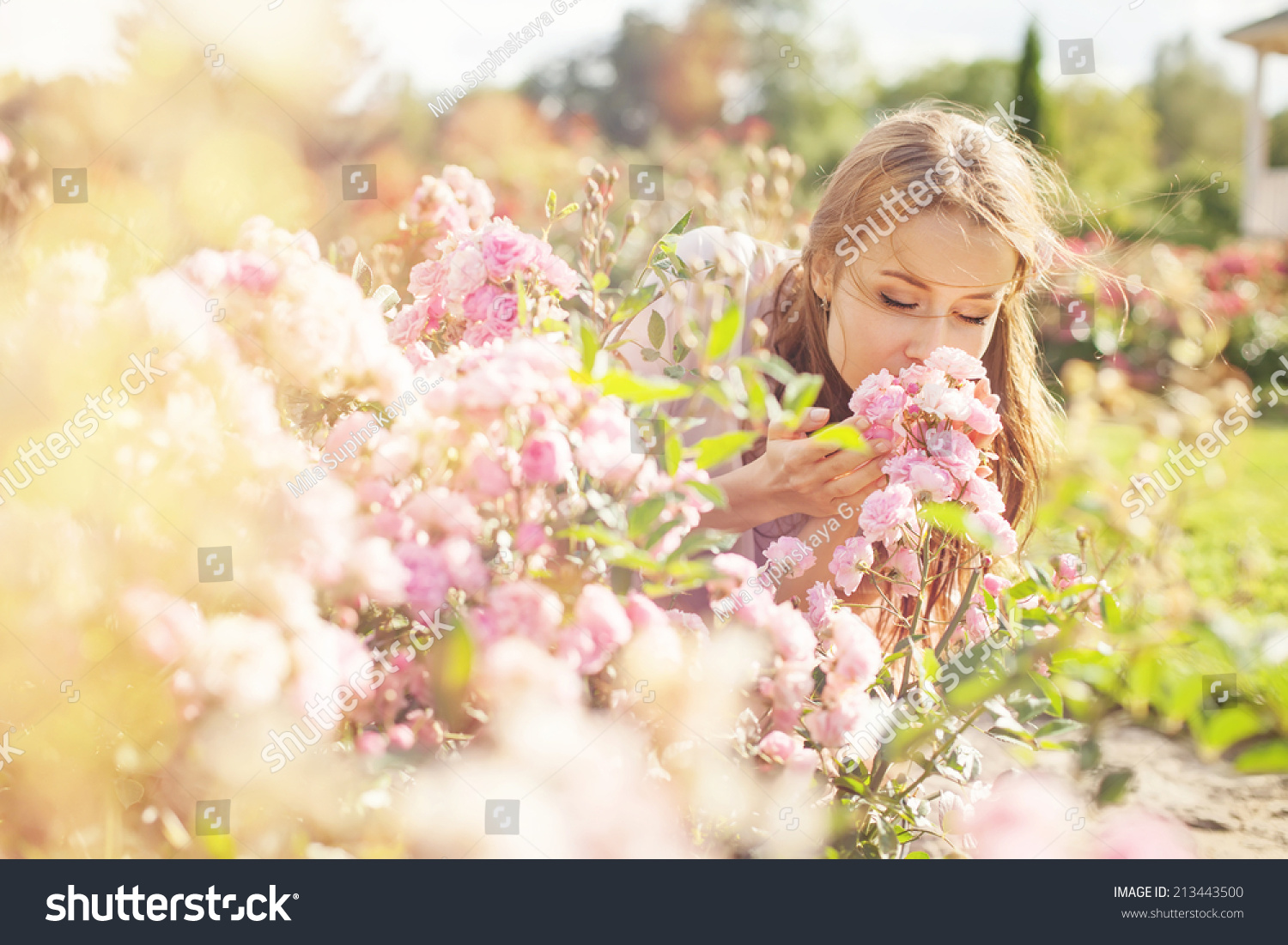 smell of the flower #213443500