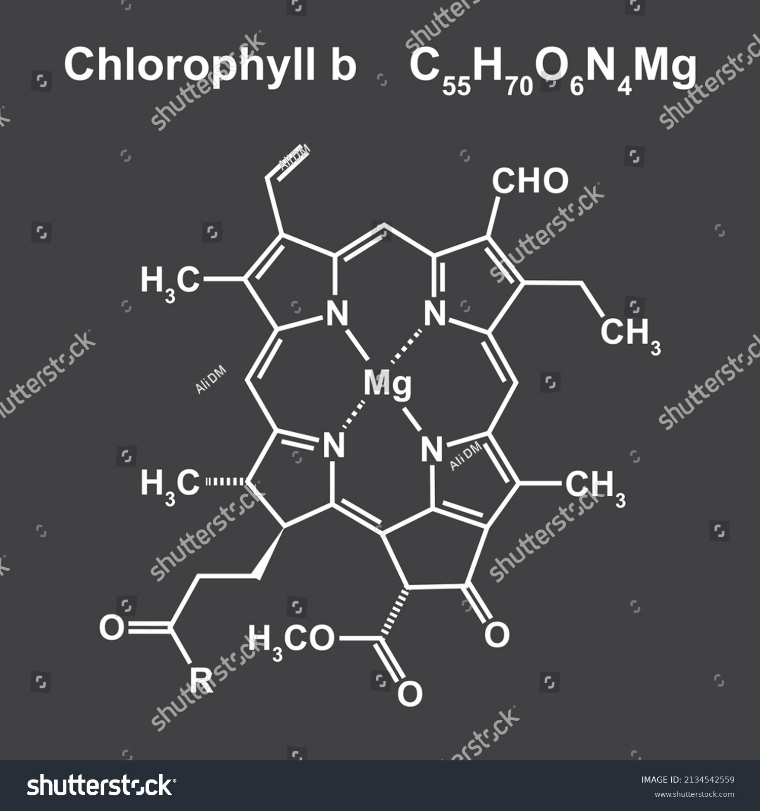 Chlorophyll B Chemical Structure. Isolated On - Royalty Free Stock ...