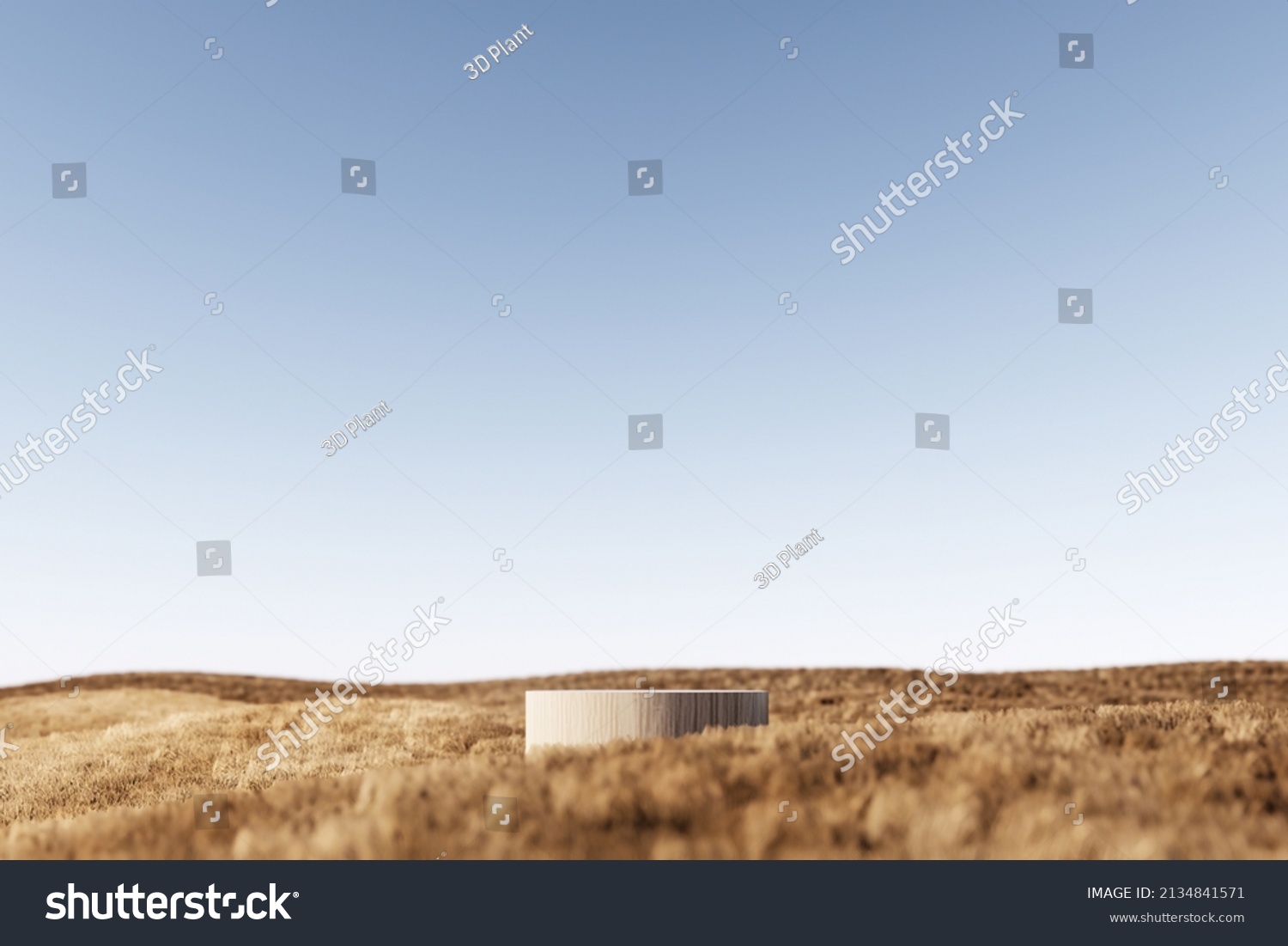 3D podium background, pedestal stand on natural dry grass. Summer product scene display. Arch classical studio. Minimal showcase 3D render advertisement, illustration. #2134841571