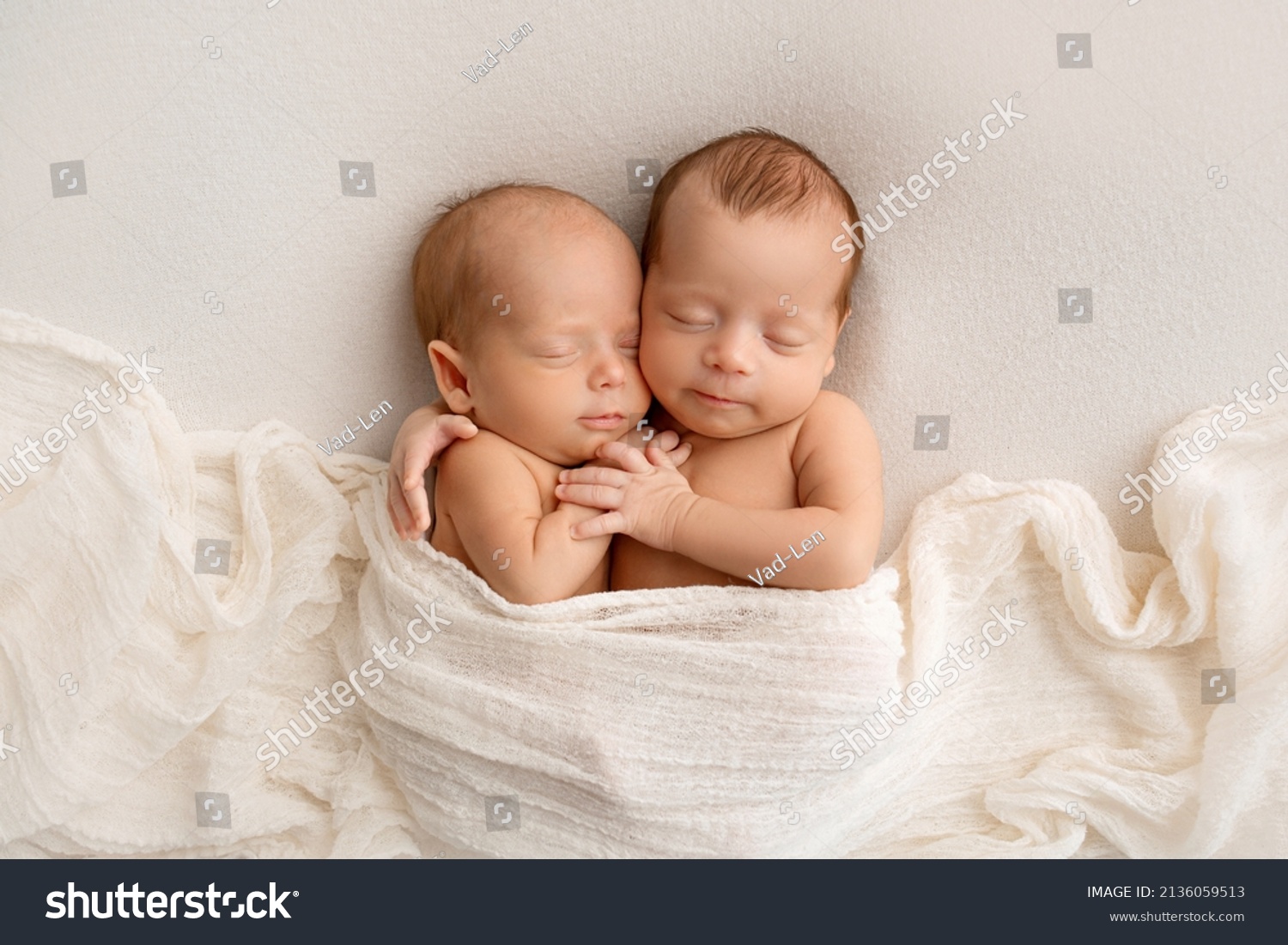 Tiny newborn twins boys in white cocoons on a white background. A newborn twin sleeps next to his brother. Newborn two twins boys hugging each other.Professional studio photography #2136059513