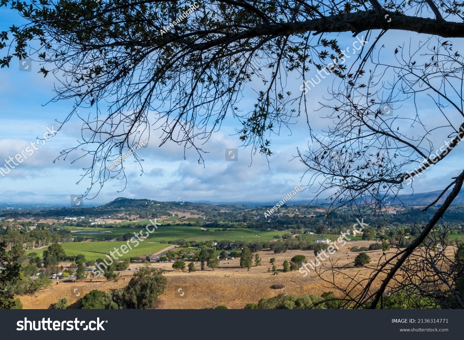 View of the Napa Valley from the Skyline wilderness park, California, USA.  #2136314771