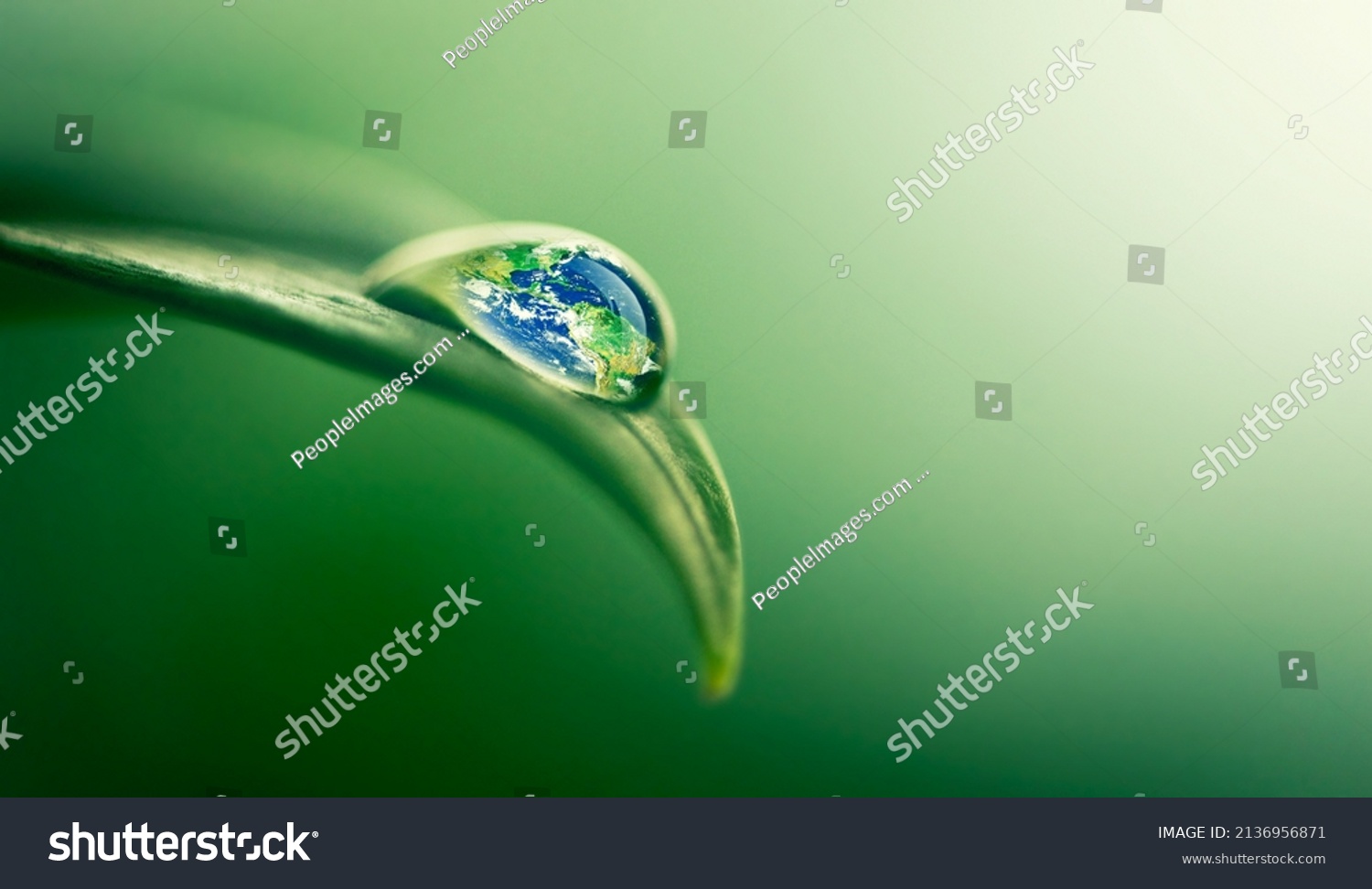 Water gives life. Closeup shot of a water droplet on a leaf. #2136956871