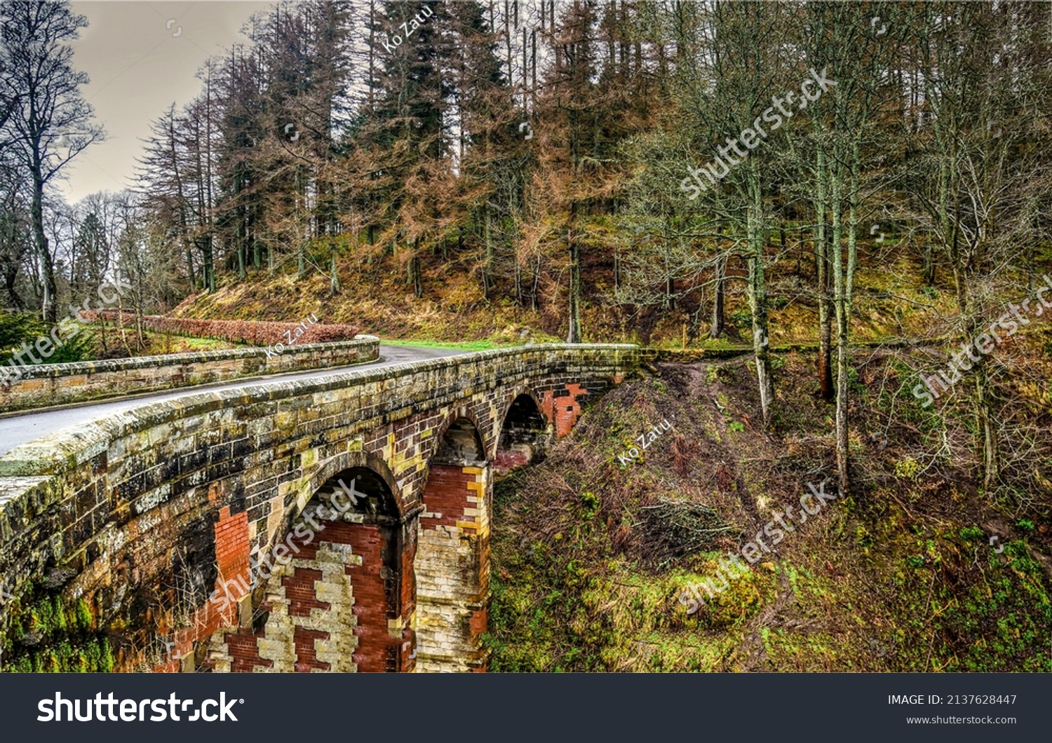 The old bridge in the mountain forests. Bridge in forest #2137628447