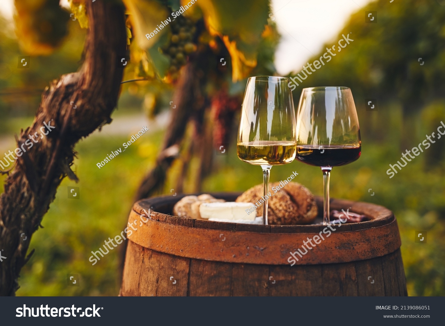 Two glasses of white and red wine on an old barrel outside in the vineyard #2139086051