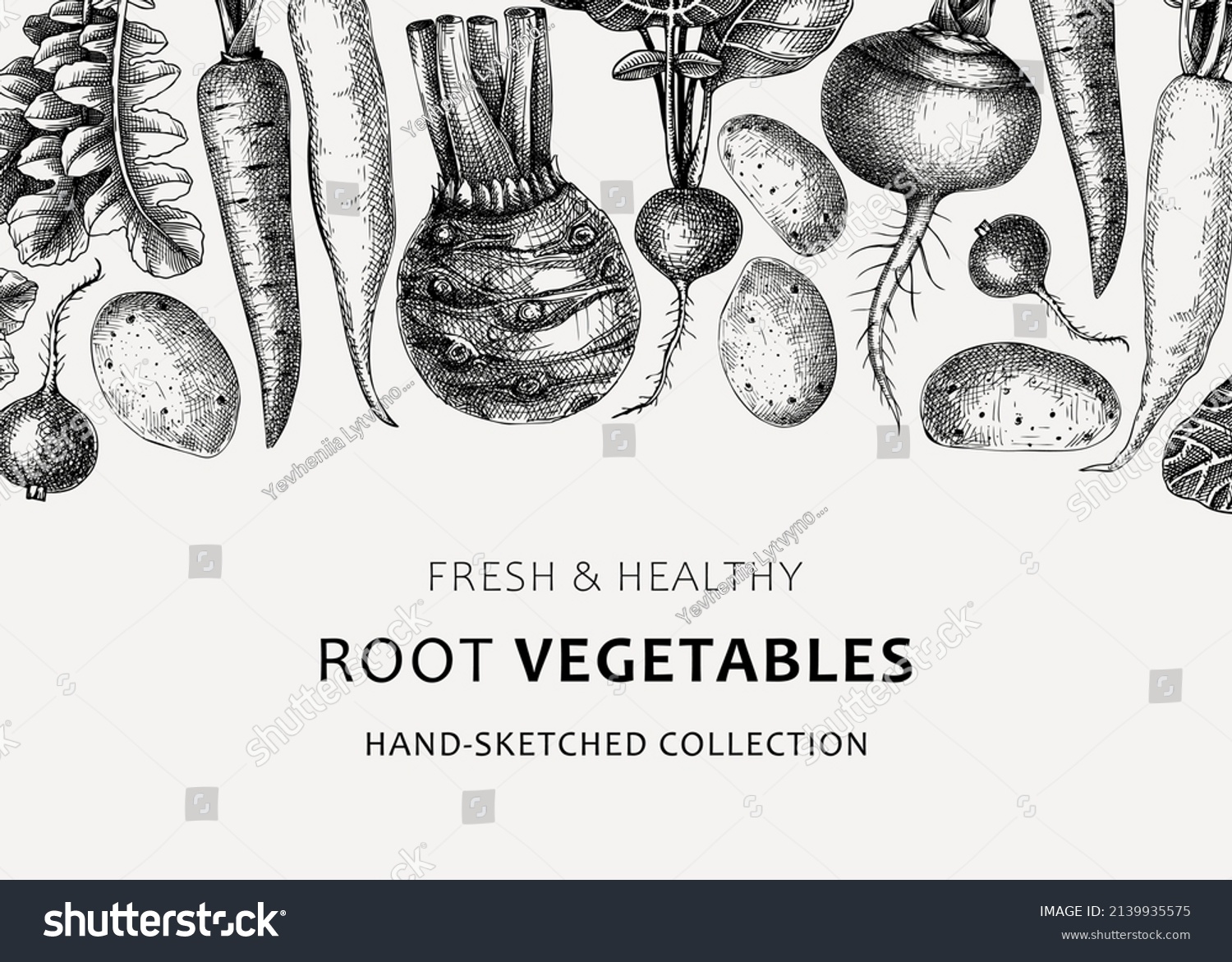 Fresh root vegetables background. Root plants sketches design. Garden vegetable vector banner. Hand-sketched beet, radish, daikon, celery, turnip illustration. For menu, recipe, packaging, markets #2139935575