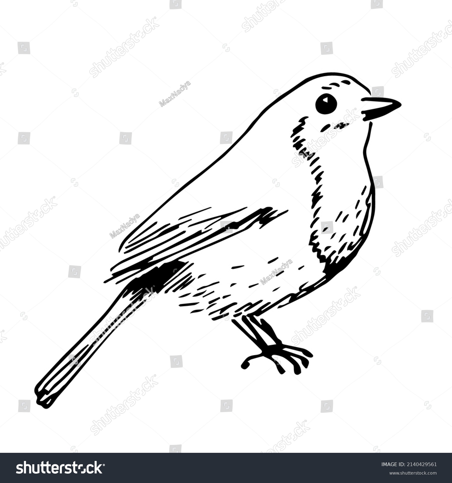 Simple black outline vector drawing. Robin bird - Royalty Free Stock ...