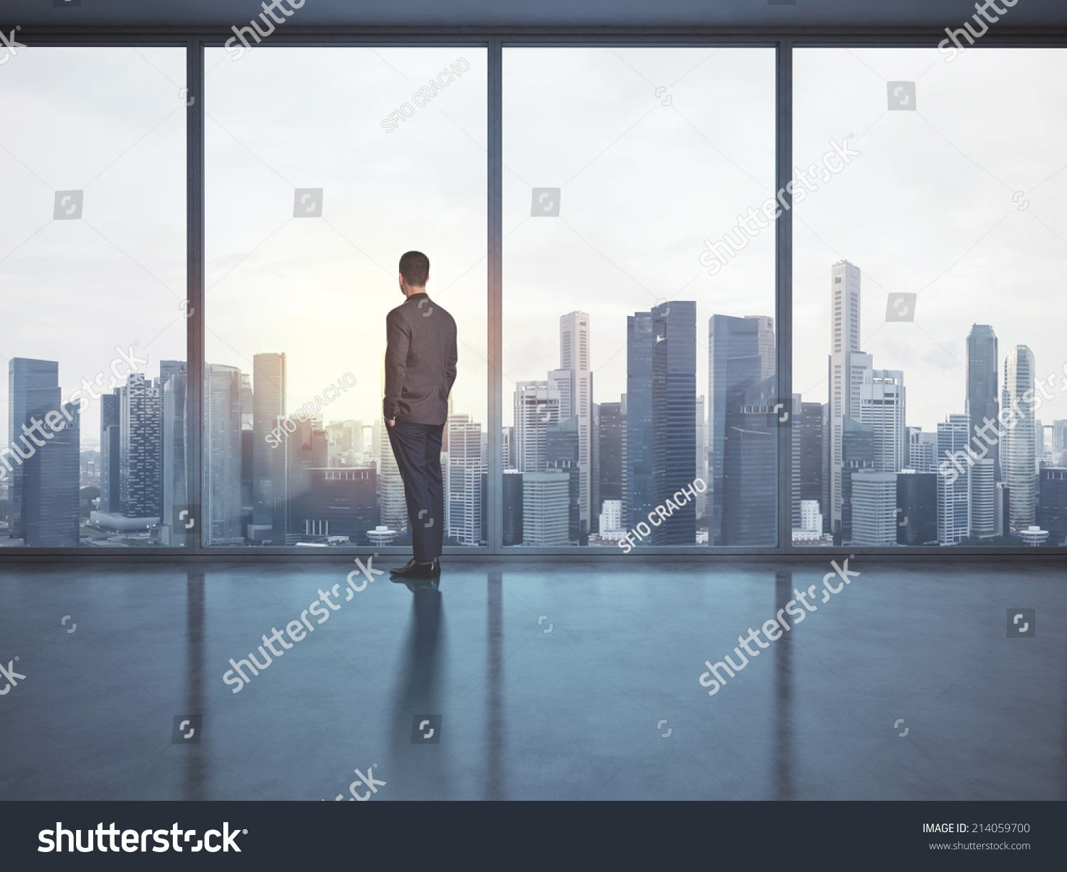 Businessman looking megalopolis through window #214059700