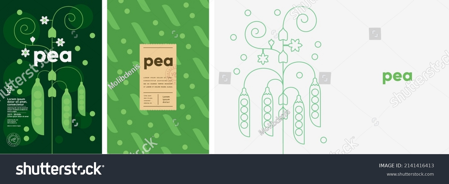 Pea. Food and natural products. Set of vector illustrations. Geometric, simple, linear style. Label, cover, price tag, background. #2141416413