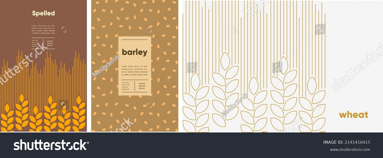 Barley, wheat, spelt. Food and natural products. Set of vector illustrations. Geometric, simple, linear style. Label, cover, price tag, background. #2141416415