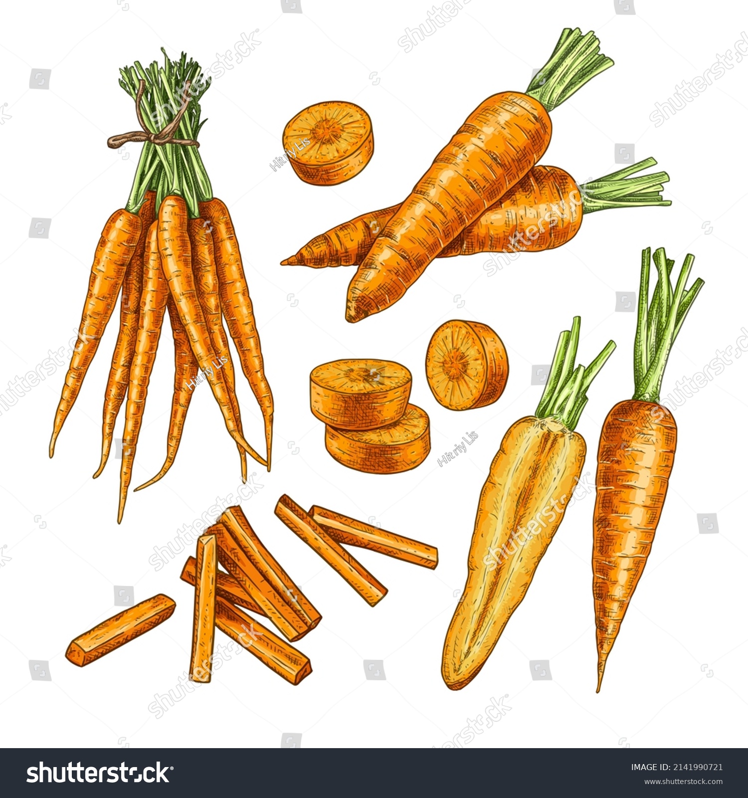 Hand drawn carrot. Set sketches with carrot bunch, whole and cut in half, cut into slices and strips. Vector illustration isolated on white background. #2141990721