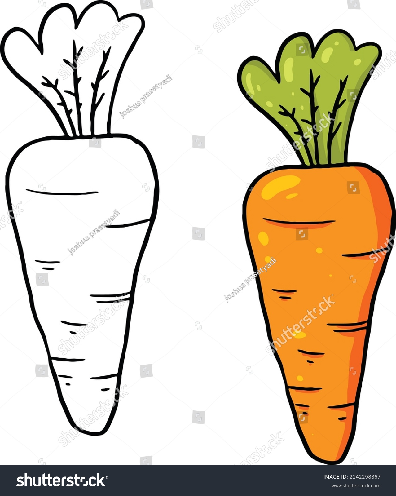 Vector illustration of a carrot with leaves. Perfect for coloring practice, drawing practice, print, wallpaper, packaging paper design, textile, etc. #2142298867