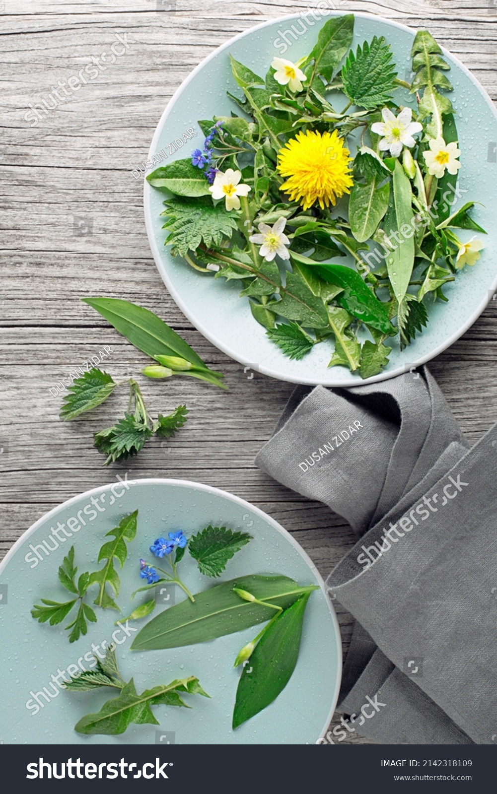 Healthy spring plants for food ingredients. Dandelion, wild garlic, flowers and nettle background #2142318109