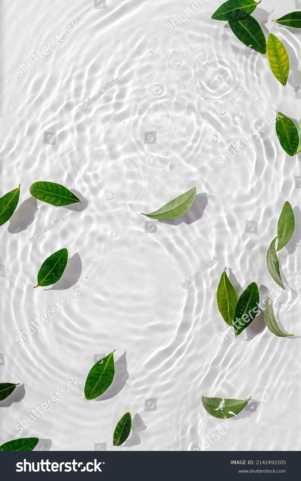 Green leaves on water surface. Beautiful water ripple background for product presentation. Copy space  #2142492205
