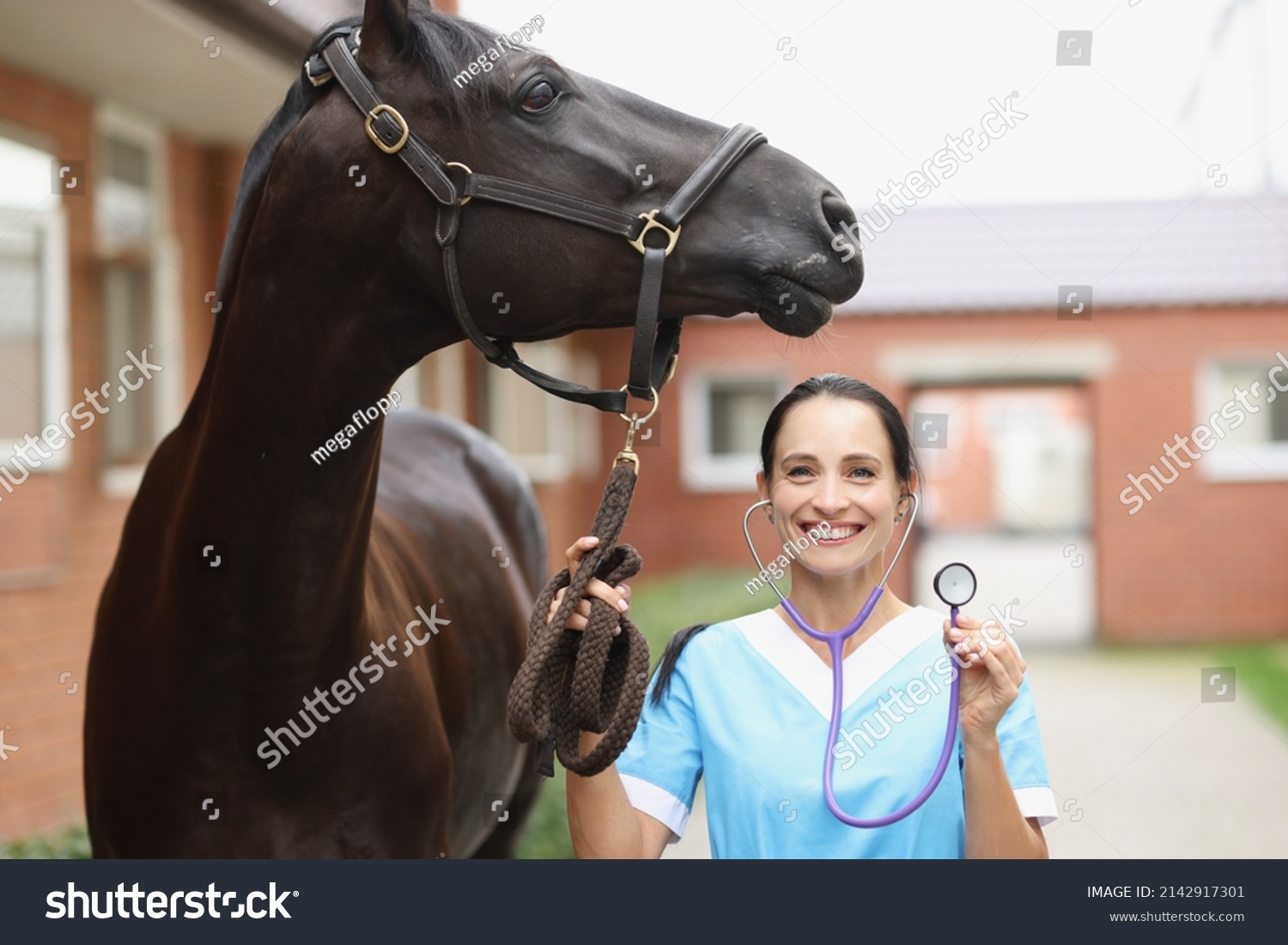 Smiling veterinarian with horse is holding stethoscope. Veterinary services concept #2142917301