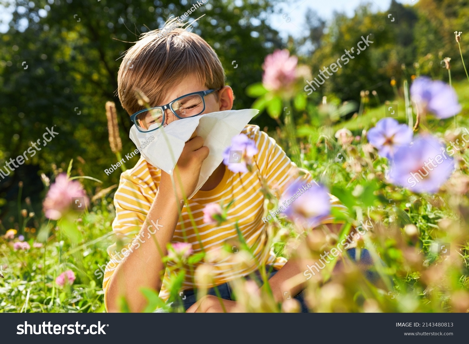 Boy with hay fever sits in a blooming meadow while sneezing with a handkerchief #2143480813