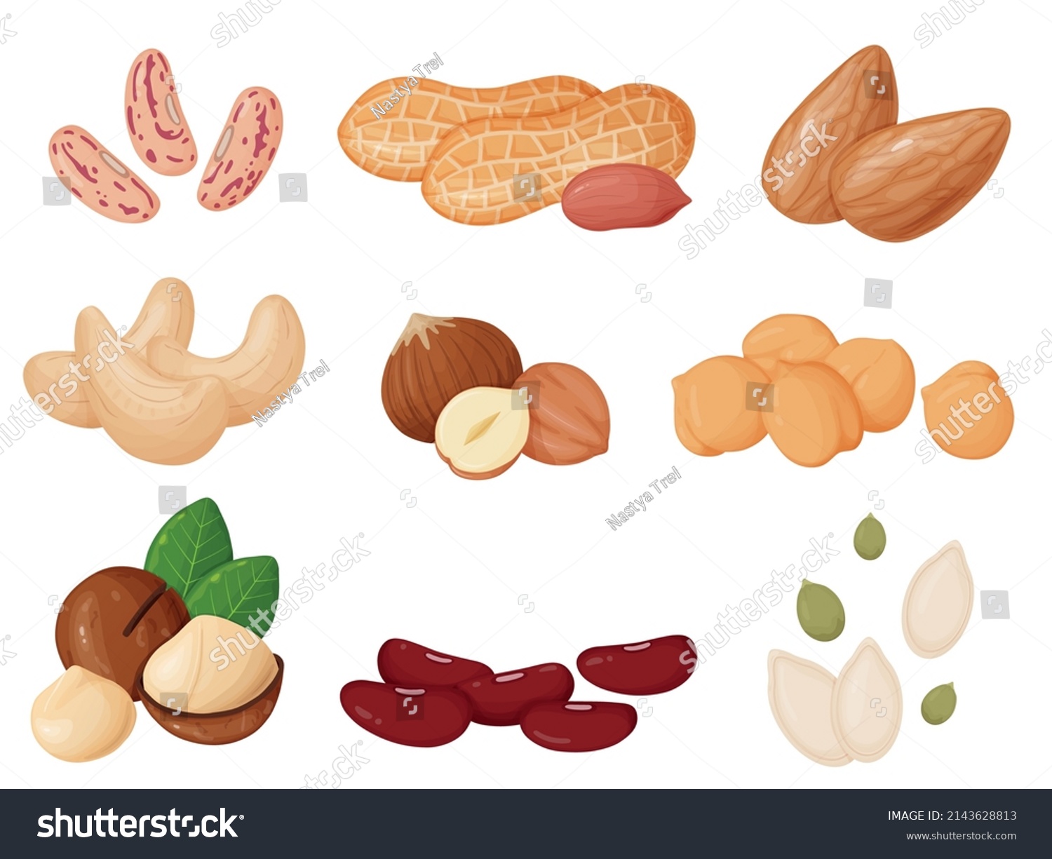 Nuts and seeds set in cartoon style. Cashew, hazelnut, almond, peanut, pistachios, macadamia, pumpkin seeds. #2143628813