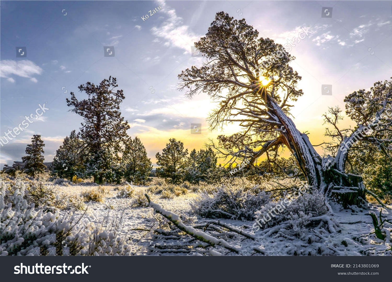 Winter snow nature at dawn #2143801069