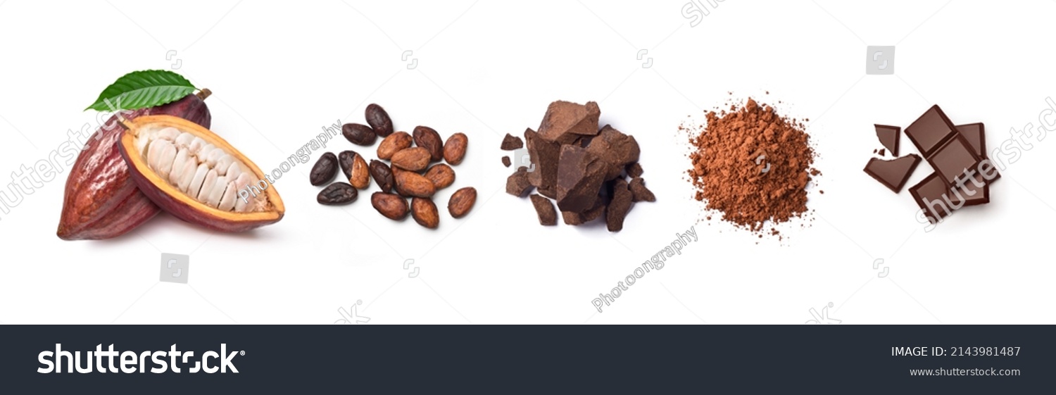 Chocolate ingredients, cocoa pods, cocoa beans, chocolate mass, cocoa powder, chocolate bars. Flat lay isolated on white background. #2143981487