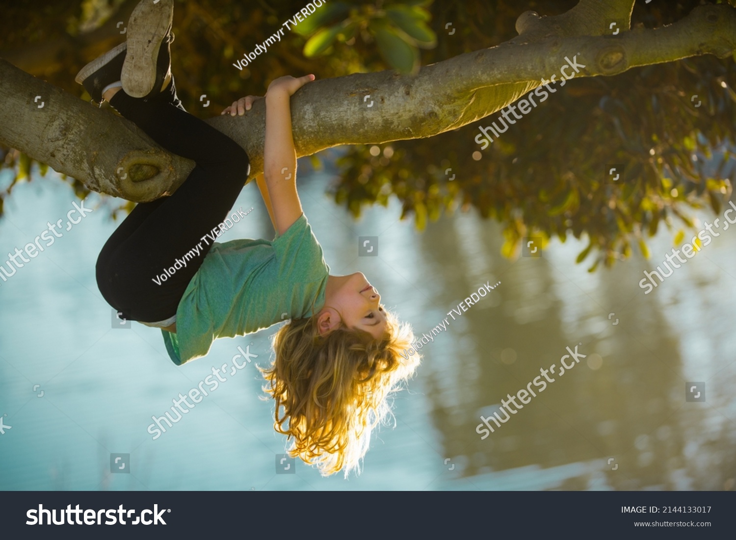 Childhood leisure, happy kids climbing up tree and having fun in summer park. Young boy playing and climbing a tree and hanging upside down. Teen boy playing in a park. #2144133017