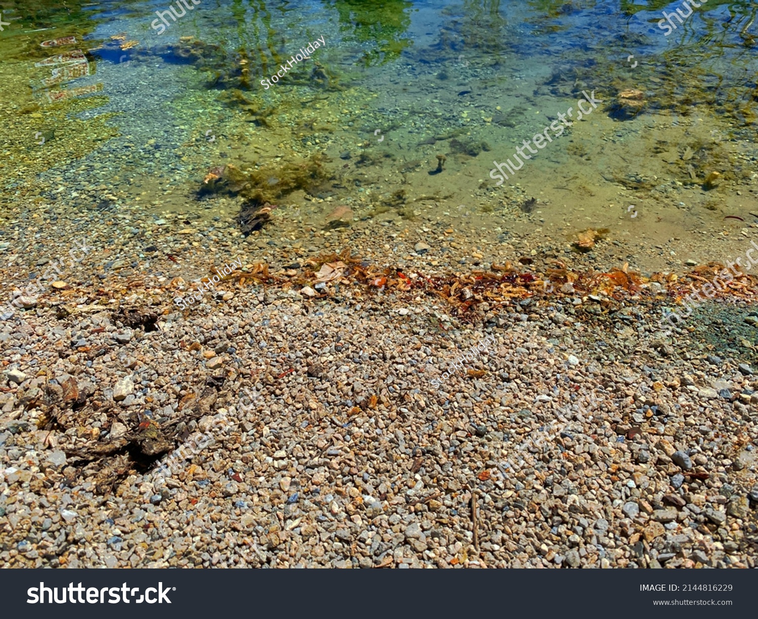 a clear clean pebble beach lake rocks riverbank riverside shoreline shadows hiking trail adventure landscape river water #2144816229