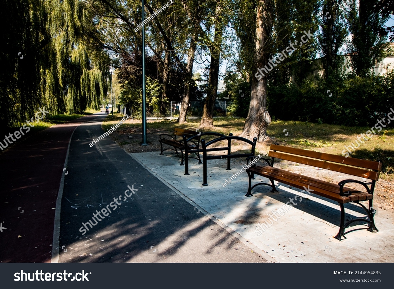 Asphalt footpath and bicycle path surrounded by lawn and trees at the city park #2144954835