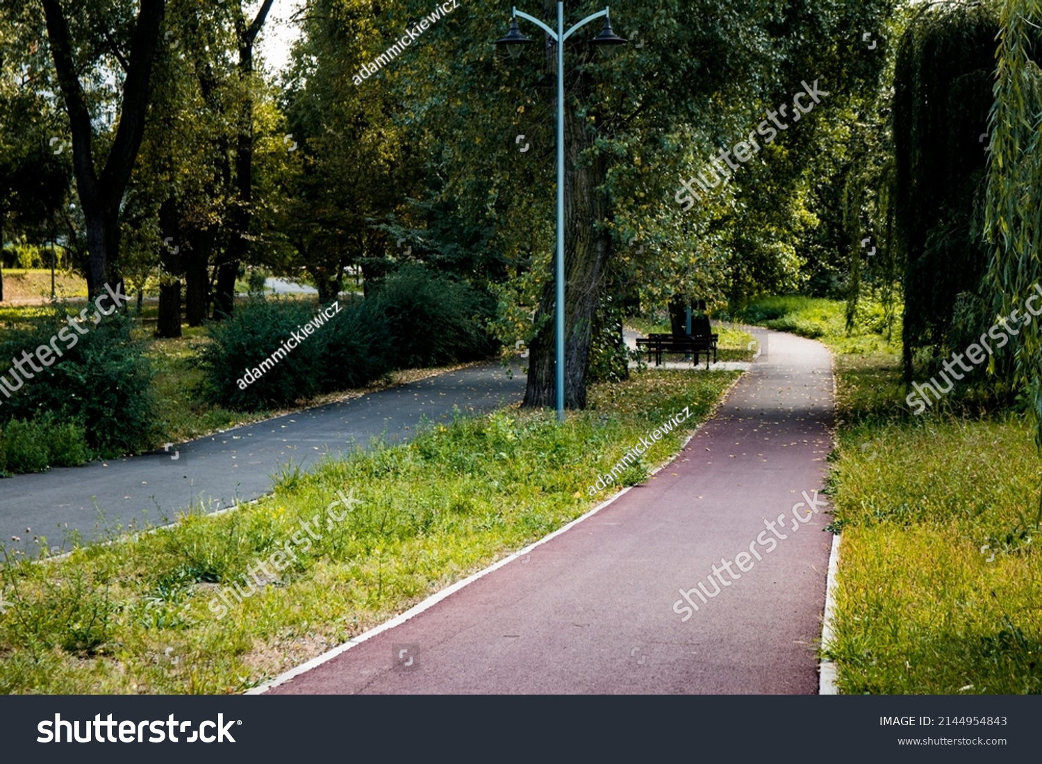 Asphalt footpath and bicycle path surrounded by lawn and trees at the city park #2144954843