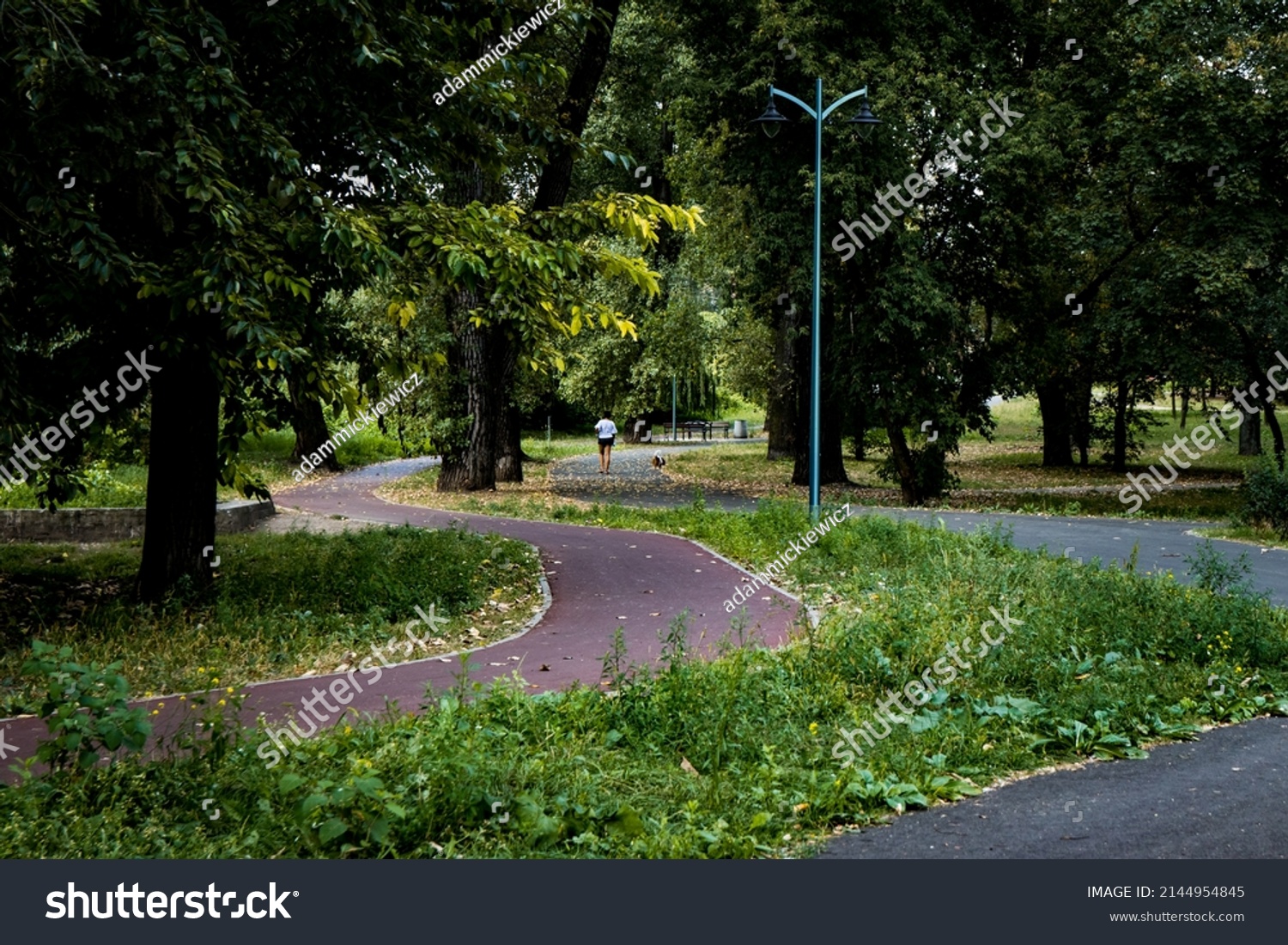 Asphalt footpath and bicycle path surrounded by lawn and trees at the city park #2144954845