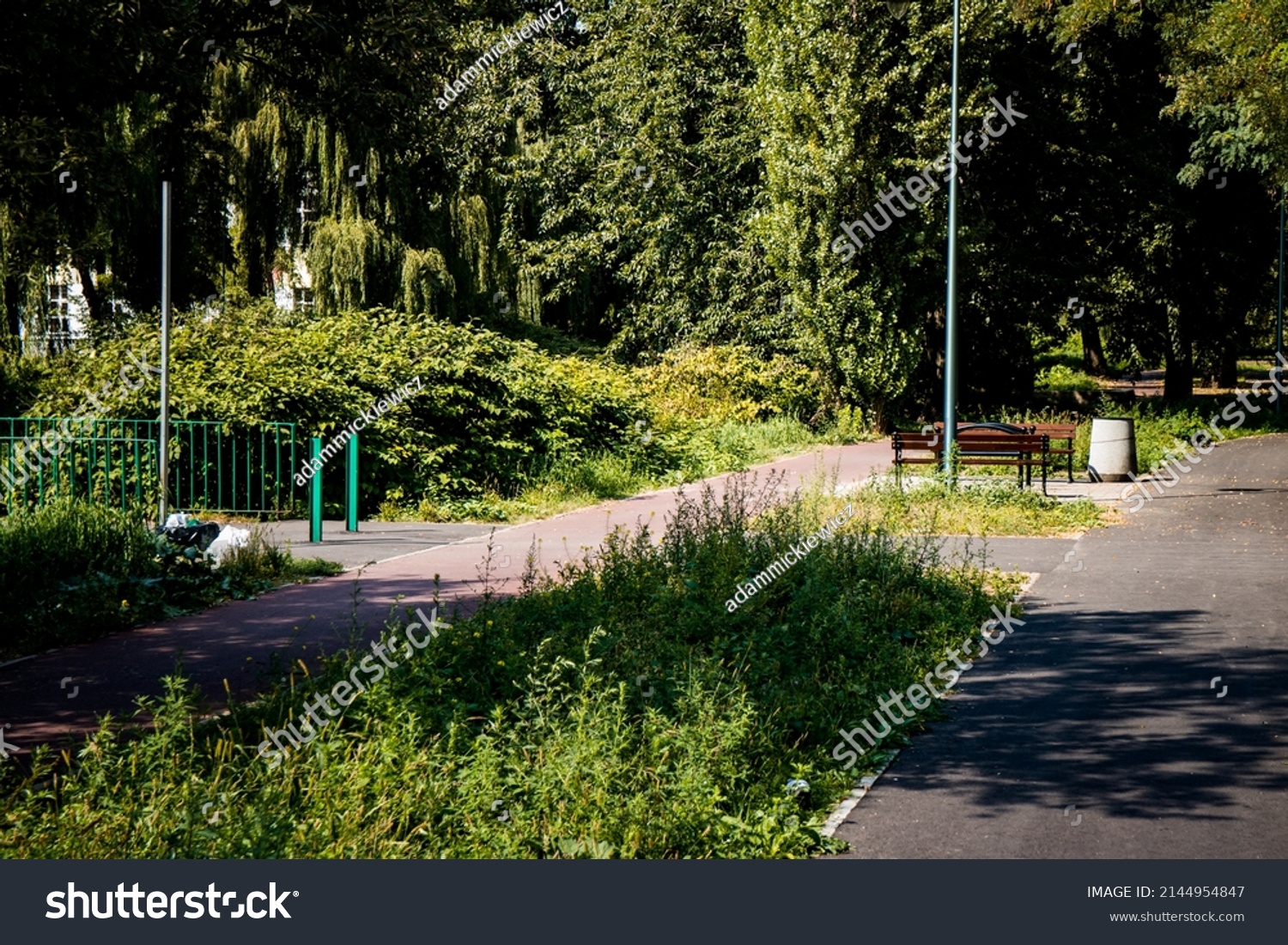 Asphalt footpath and bicycle path surrounded by lawn and trees at the city park #2144954847