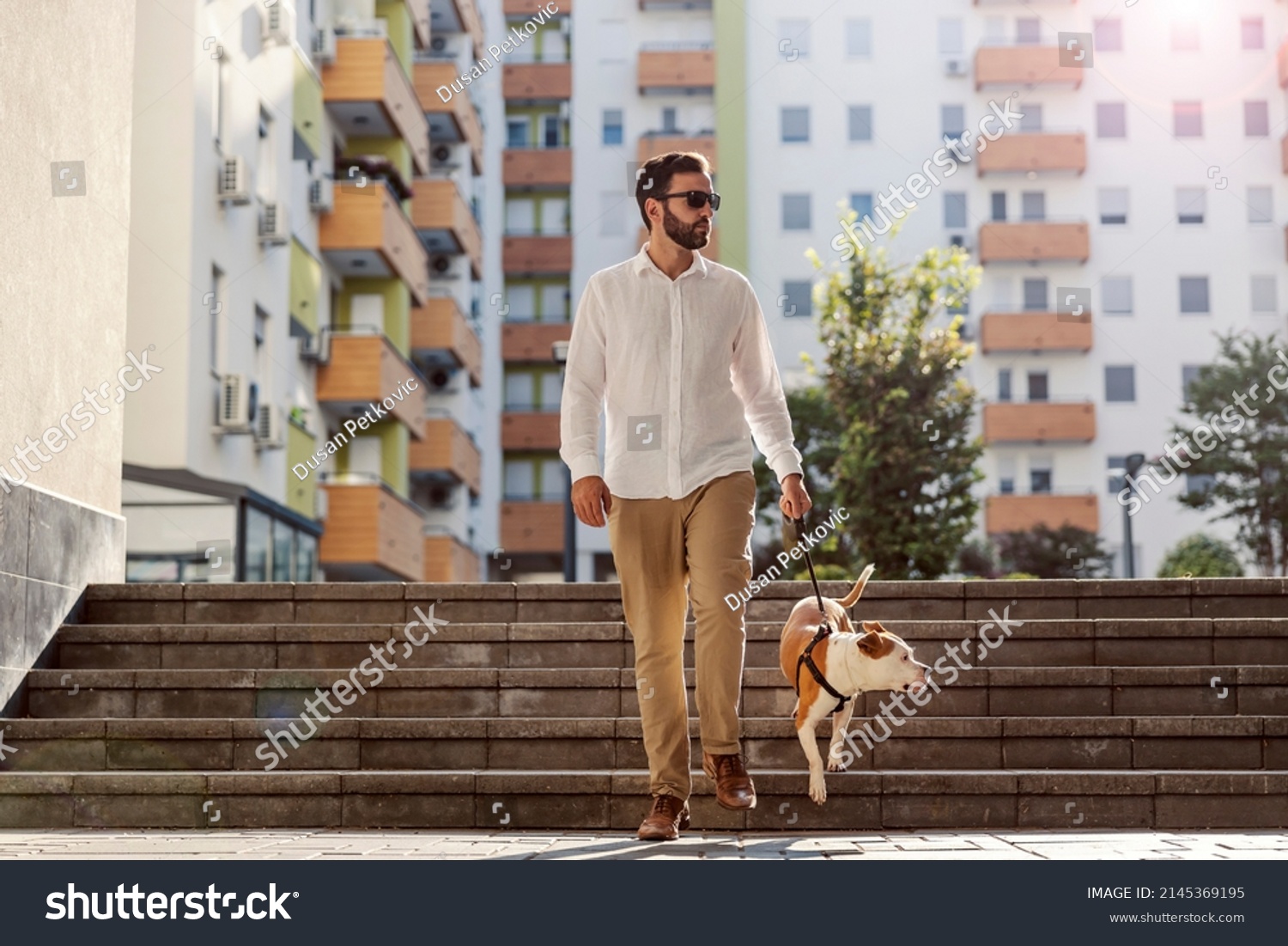 A busy man dressed smart casual, with sunglasses is walking his dog in the urban exterior. The dog descending stairs. A man with a dog in a walk in the urban exterior. #2145369195