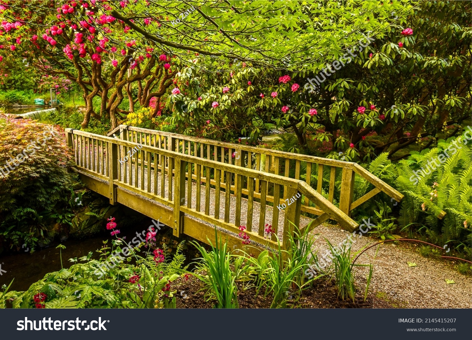 Wooden bridge in the garden. Garden bridge way. Bridge in amazing garden. Garden bridge view #2145415207